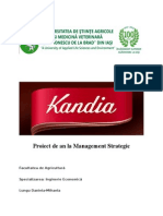 Proiect Kandia Dulce