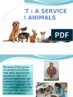 A Service For Animals