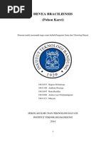 Download Makalah karet alam by Zella Purnamaningtyas SN262057236 doc pdf