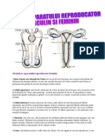 Alcatuirea Aparatului Reproducator Feminin