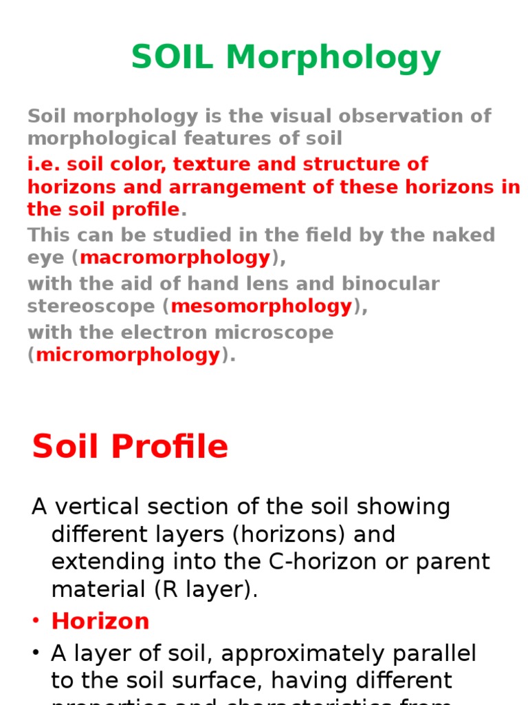 SOIL MORPHOLOGY DEFINITION intelligence overview