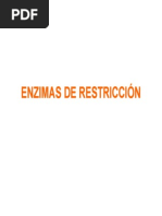 Enzimas de Restriccion