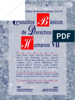 Estudios Basicos de Derechos Humanos - Tomo Vii PDF