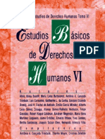 Estudios Basicos de Derechos Humanos - Tomo Vi PDF