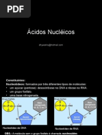 Biologia PPT - Ácidos Nucléicos.ppt