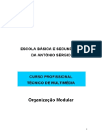 organizacao modular