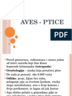 Ptice Aves