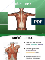 Mišići Leđa