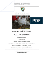 Manual Del Pollo