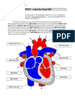Diagram 2 - Heart Labelling Key