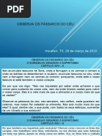 20150329 - Observai Os Passaros Do Ceu