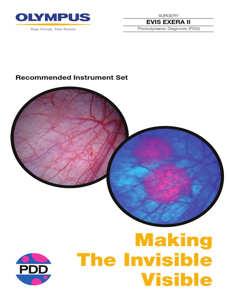 PDD Instrument Set Brochure 001 V1-En 20000101 | PDF | Endoscopy ...
