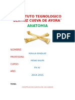 Anatomia