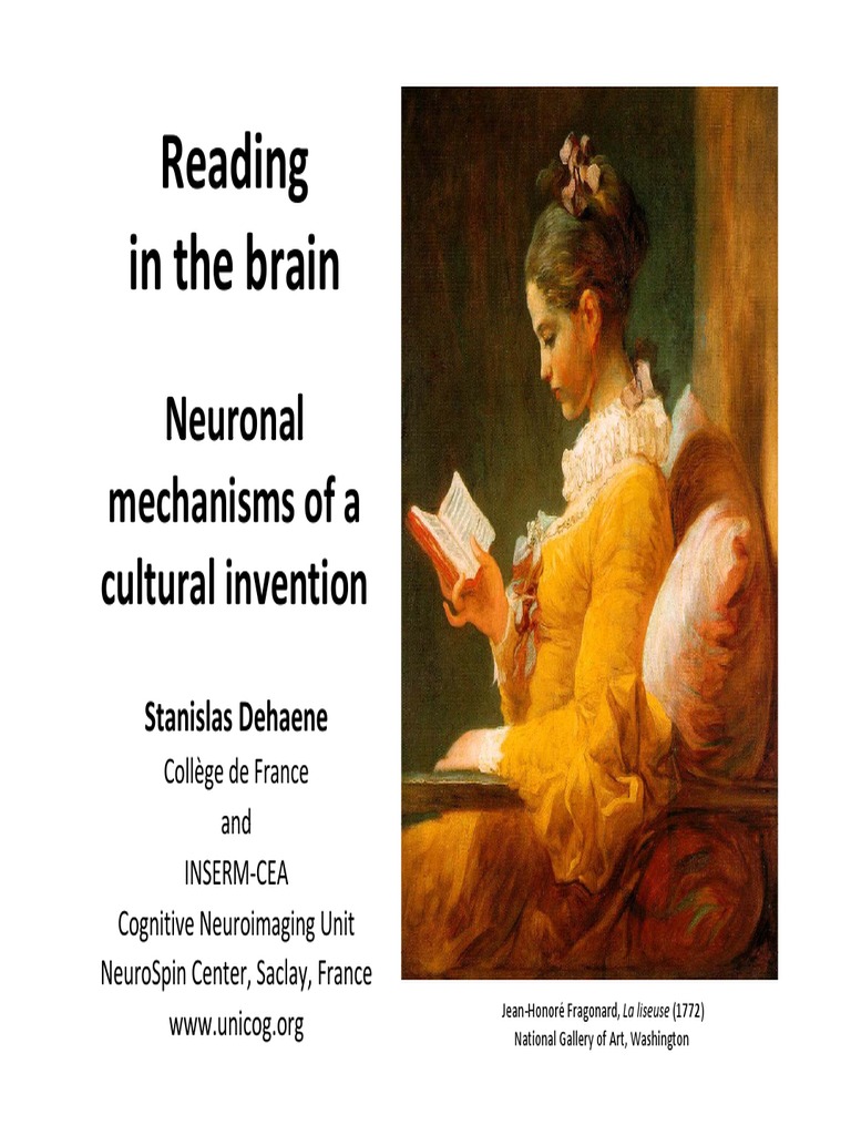 ReadingInTheBrain Sydney Dec2011 PDF | PDF | Foreign Language Studies