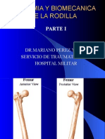 Anatomia y Biomecanica de La Rodilla