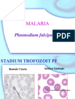 Prak - Falciparum+vivax Slide Berjalan