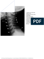 anatomia_radiologica.pdf