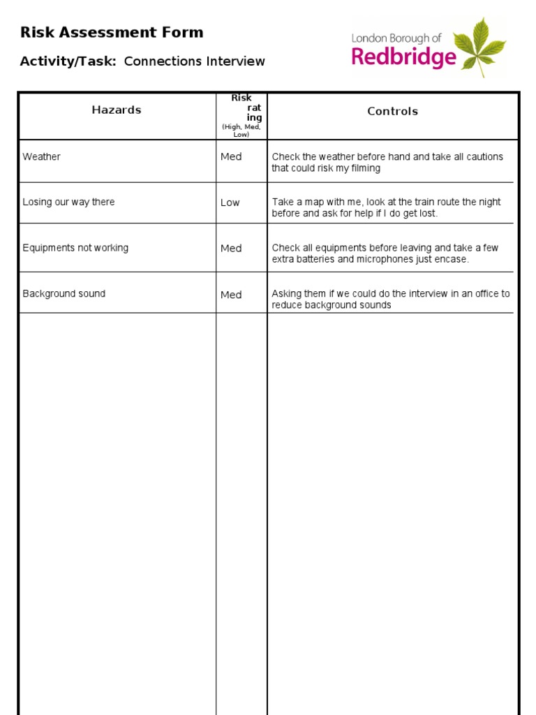 Risk Assessment for Connections Interview | PDF