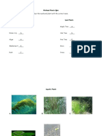 wetland plants quiz key