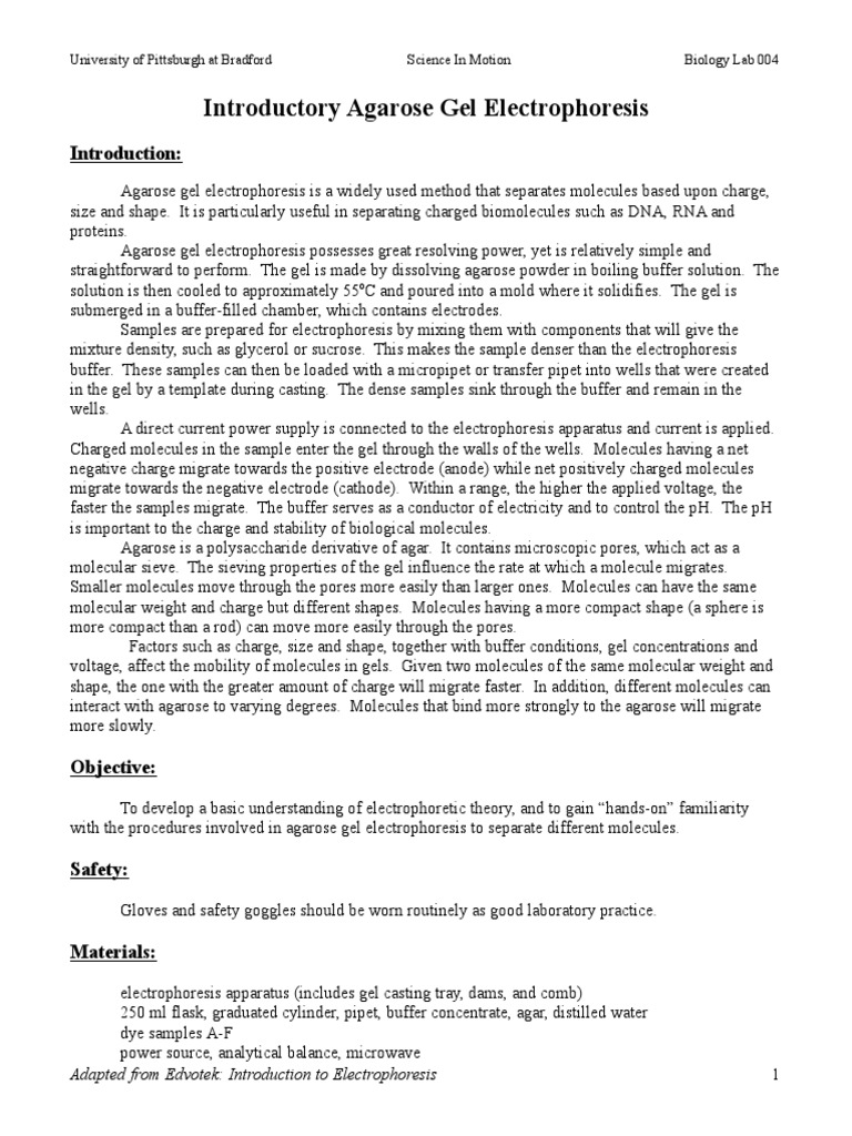 Gel Electrophoresis Practice Worksheet Promotiontablecovers