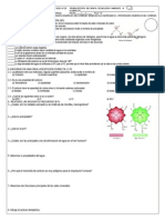 Prueba Escrita de Cta 4 Biomoléculas Inorgánicas