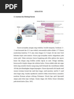 Download Keratitis by Prabha Amandari Sutyandi SN262145990 doc pdf