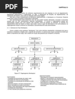 ORGANIZAÇÃO INDUSTRIAL.pdf