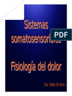Sistemas Somatosensoriales y Fisiología Del Dolor