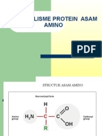 Metabolisme Protein Asam Amino-12