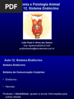 Endocrino Sistema