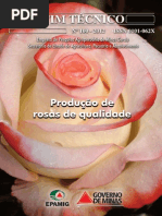 Produção de Rosas de Qualidade