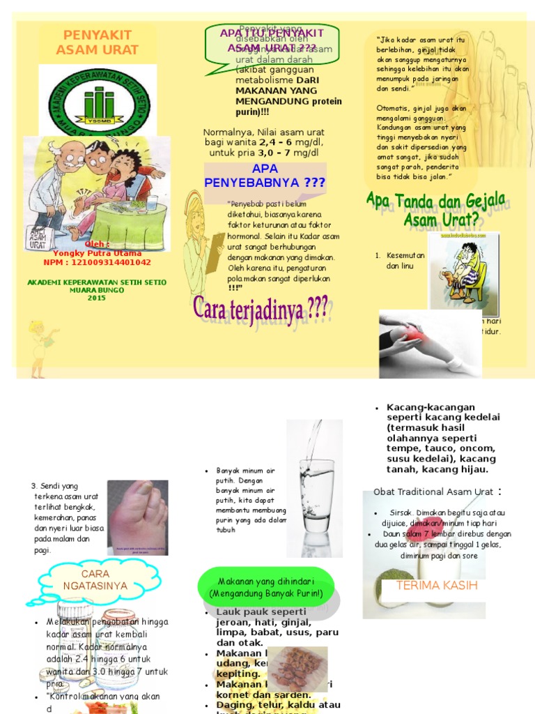leaflet asam urat