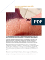 8 Remedios Casero Para Combatir El Virus de La Chikungunya y Sus Síntomas