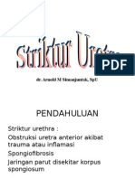 striktur_urethra