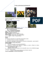 Proiectintegr.flori