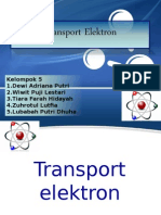 Transport Elektron