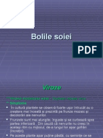 Bolilesoiei