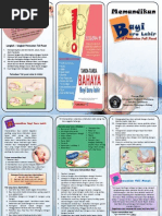Download Leaflet Memandikan dan rawat tali pusat bayi baru lahir by Dewi Larasati SN262241482 doc pdf