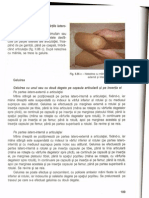 scan0019masajul articulatiei genunchiului.pdf