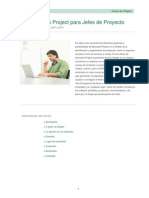 Curso de Microsoft Project