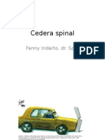 Cedera Spinal
