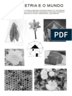 Geometria e o Mundo PDF