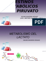 Destinos Metabolicos Del Piruvato