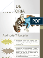 Tipos de Auditoria