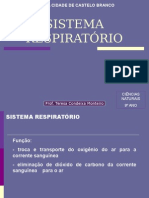 0 Sistemarespiratoriotc0809 090308180646 Phpapp02