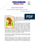 Manual Del Practicante