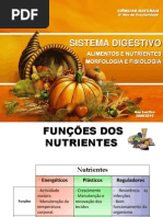 Sistema Digestivo 2012