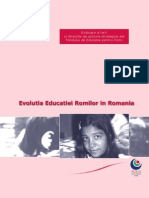 Web Romania Report Romanian PDF