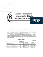 Capitolul 6 Aspecte Economico - Ecologice in Diferite Sectoare de Activitate