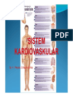 Sistem Kardiovaskular Tt